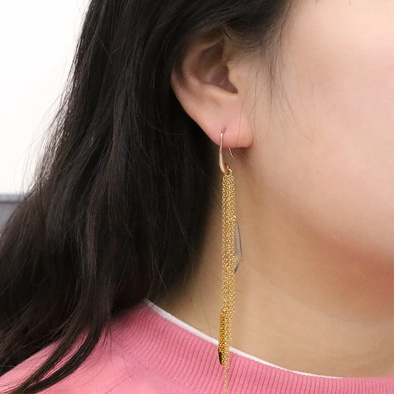 Tassel Chains And Metal Piece Earrings